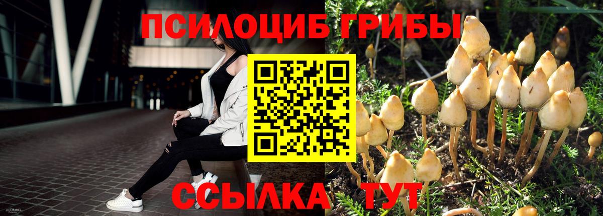 Кандалакша  Псилоцибиновые грибы Cubensis  купить закладку  Вход с VPN 